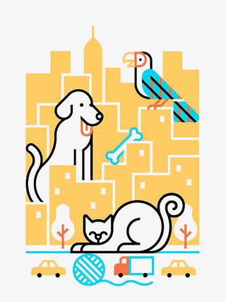 魔方中的小狗小猫和小鸟免抠