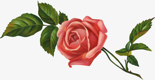 手绘鲜花免抠