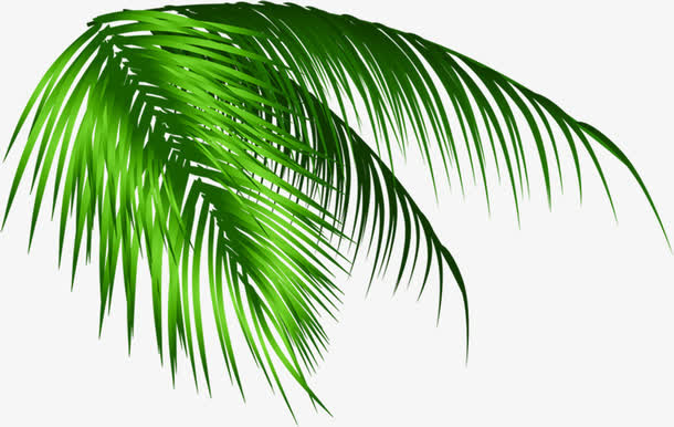 绿色树叶夏日海边素材免抠