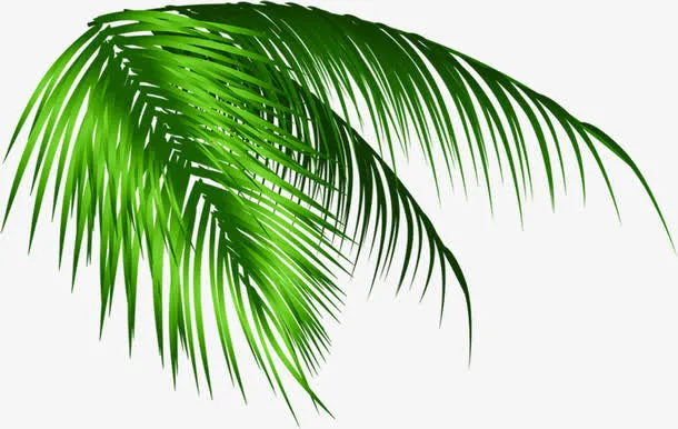 绿色树叶夏日海边素材免抠