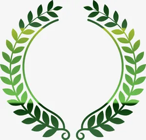 绿色橄榄枝边框免抠