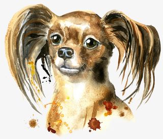 手绘可爱的小狗免抠图免抠