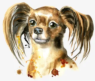 手绘可爱的小狗免抠图免抠