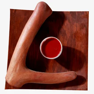 整枝鲜鹿茸免抠