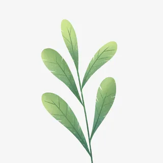 单张扣图树叶上传免抠