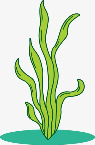 线条瘦小迷你海藻免抠
