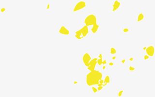 金色的漂浮花瓣免抠