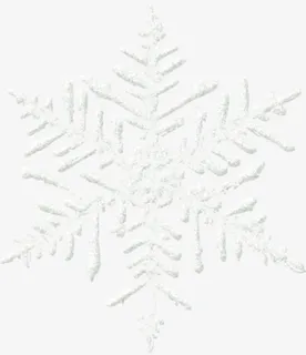 白色雪花圣诞节图案免抠