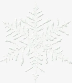 白色雪花圣诞节图案免抠