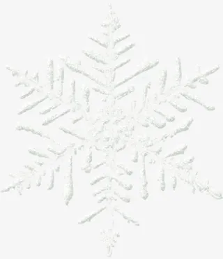 白色雪花圣诞节图案免抠