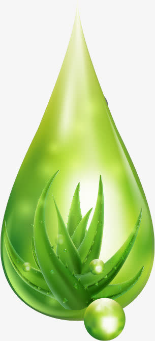 女性化妆品设计矢量素材,免抠装饰植物元素