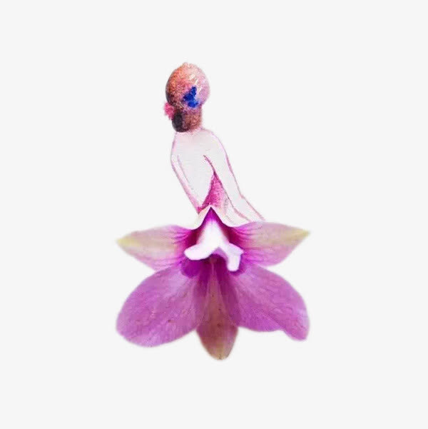 人与花免抠