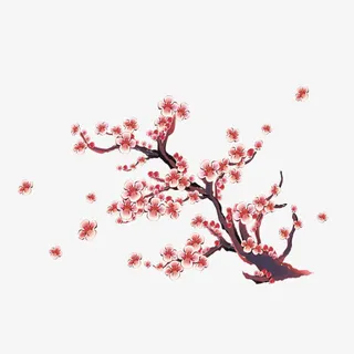 粉色梅花开放免抠