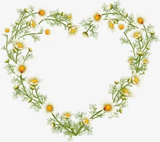 创意情人节七夕节绿色青草爱心法免抠