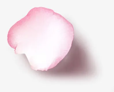 花瓣化妆品素材免抠