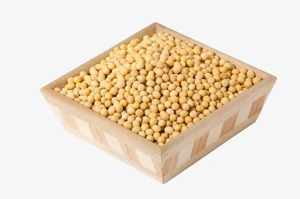 一盘黄豆摄影免抠