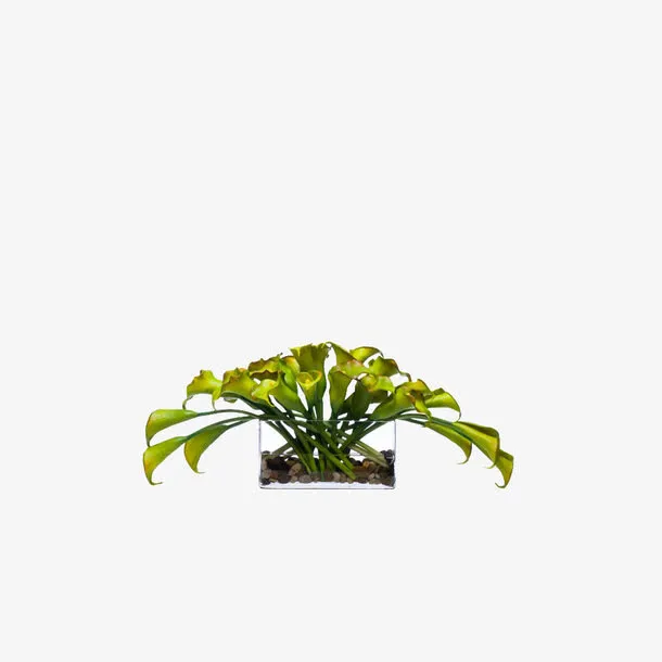 欧美流行插花 绿植物 鲜花软装免抠