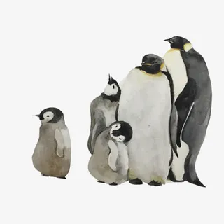 帝企鹅手绘画素材图片免抠