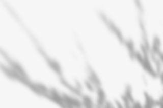 装饰植物影子免抠