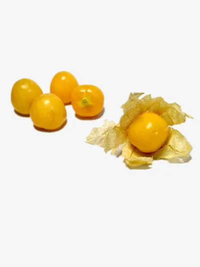 水果菇凉免抠