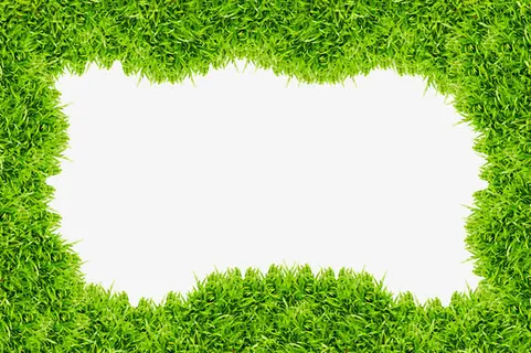 绿色草地边框免抠