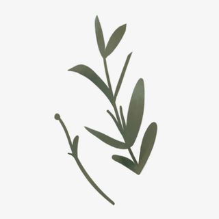 地球日手绘一株草免抠