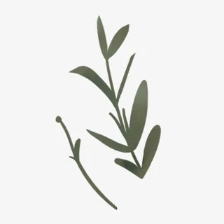 地球日手绘一株草免抠