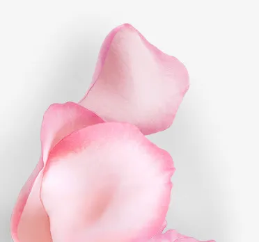 三只花瓣png素材免抠