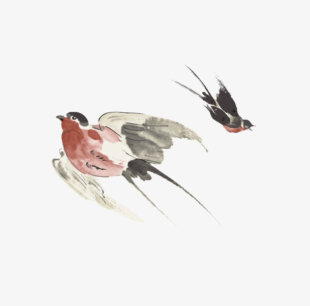 小燕子图免抠