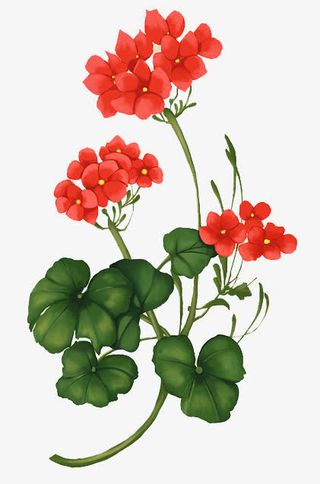 卡通红花绿叶装饰素材免抠