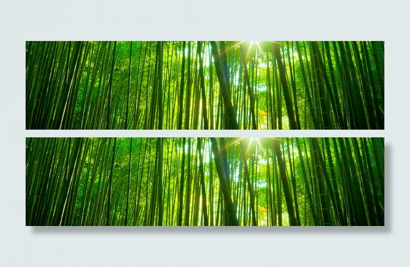 清新竹林背景高清