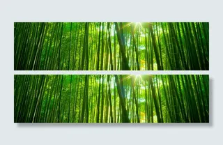 清新竹林背景高清