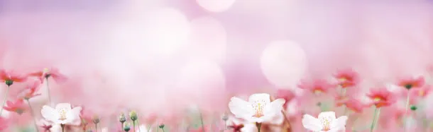 淘宝女装唯美粉色背景banner