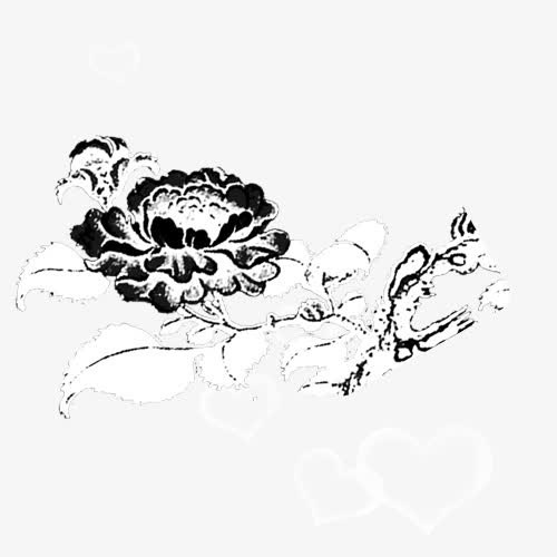 水墨菊花免抠