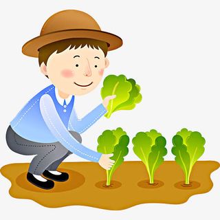 拔菜的男人免抠