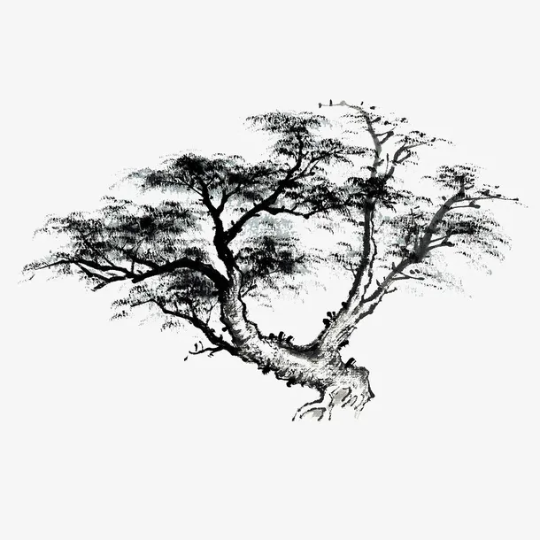 黑白手绘古树免抠