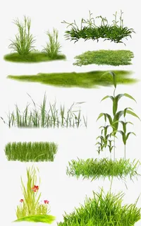 花草绿叶植物免抠