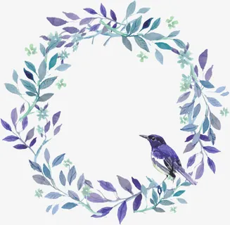 高清绘画摄影小清新花圈鸟免抠