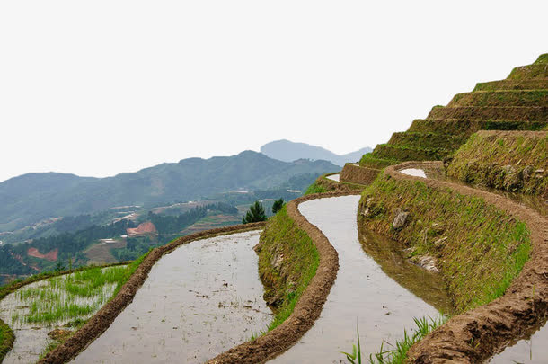 云南梯田免抠背景摄影风景元素