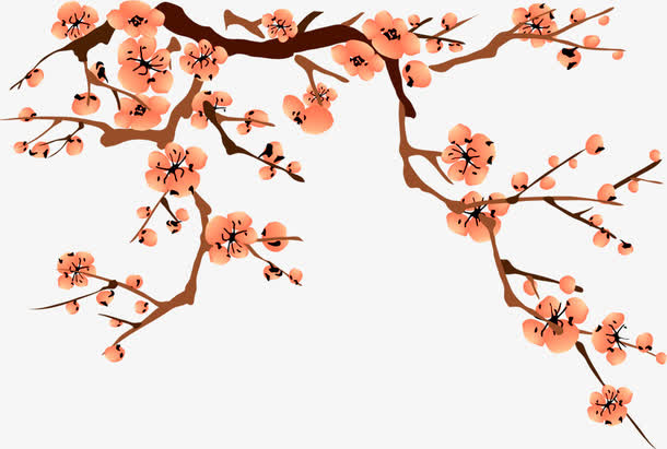 橘色梅花免抠