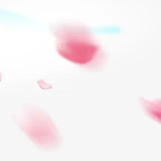 漂浮花瓣免抠 漂浮花瓣免抠