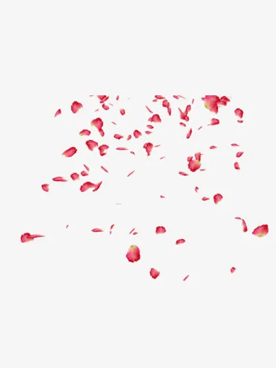 散落的花瓣免抠
