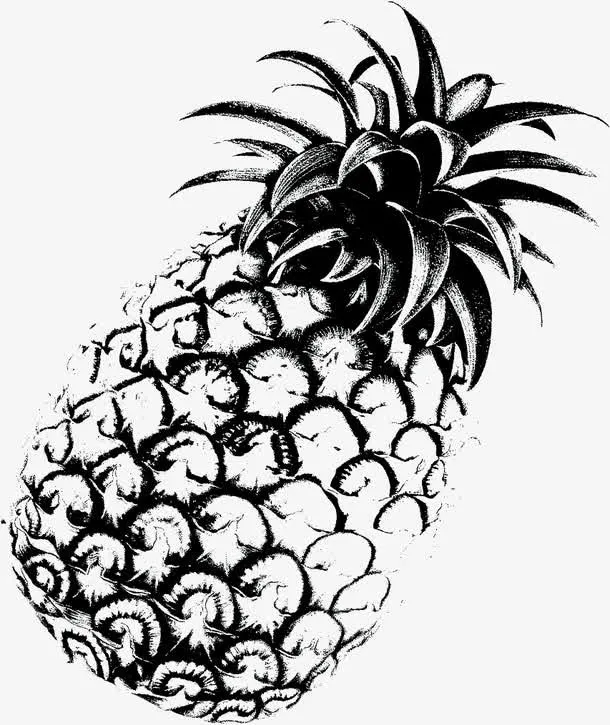 手绘菠萝中国古典元素免抠