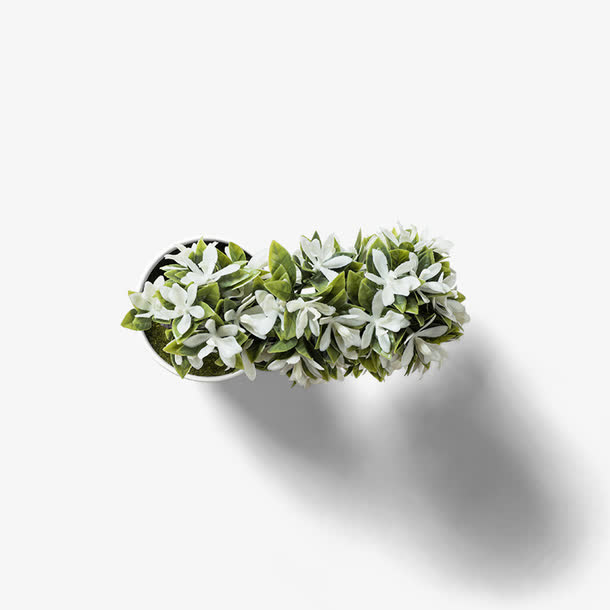 白色小花盆栽免抠