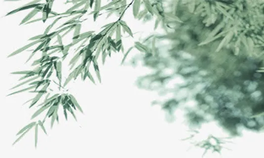 青绿色竹叶招聘海报免抠