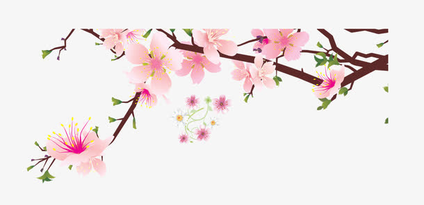 花朵免抠