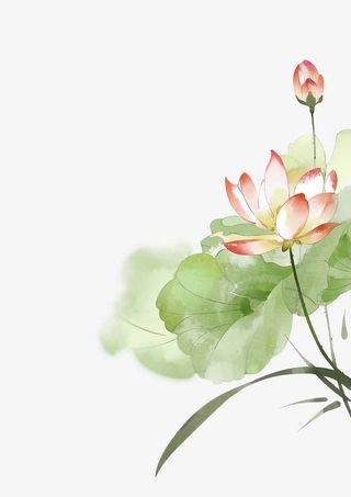 手绘彩色荷花免抠素材免抠