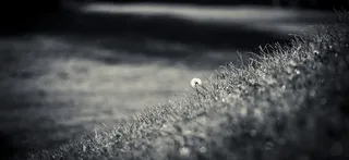 小清新草原素材高清