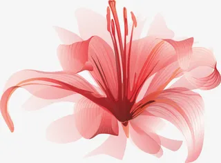 水彩曼珠沙华花免抠