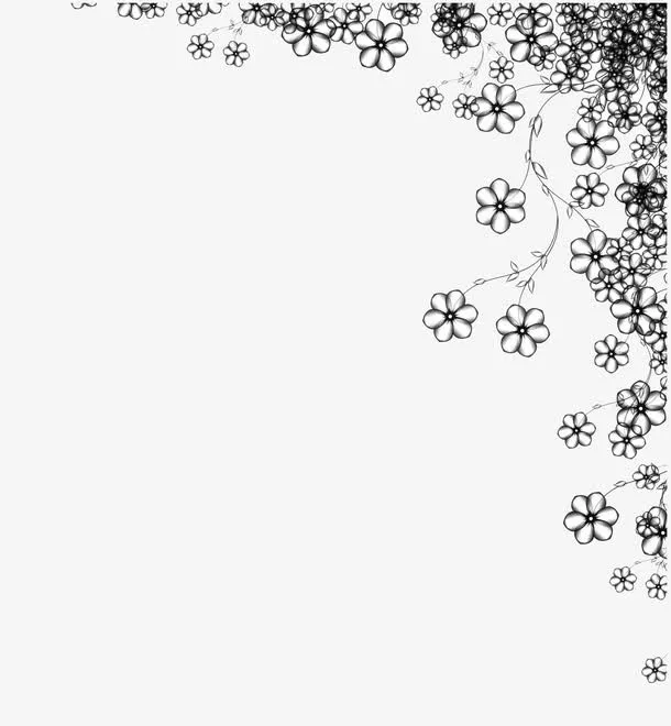 花朵边框免抠